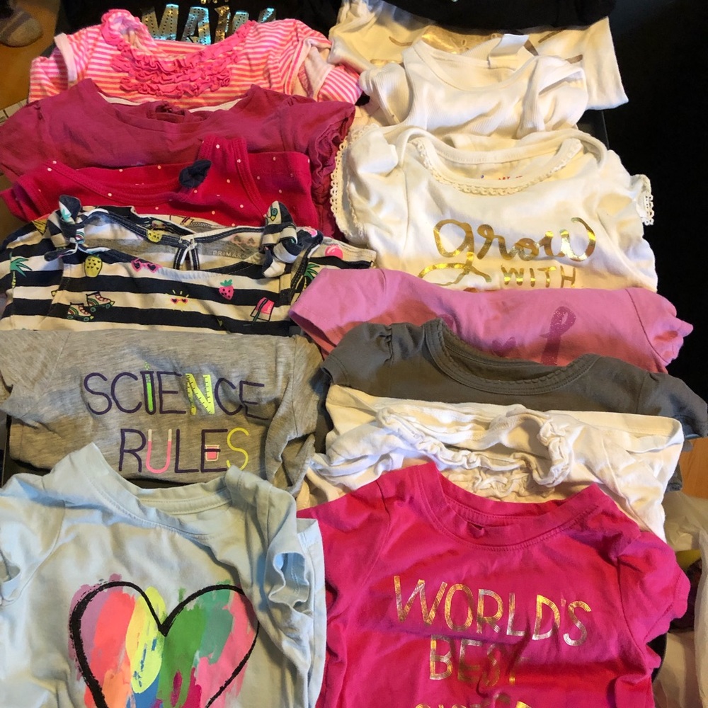 Lot of toddler girls clothes. See description